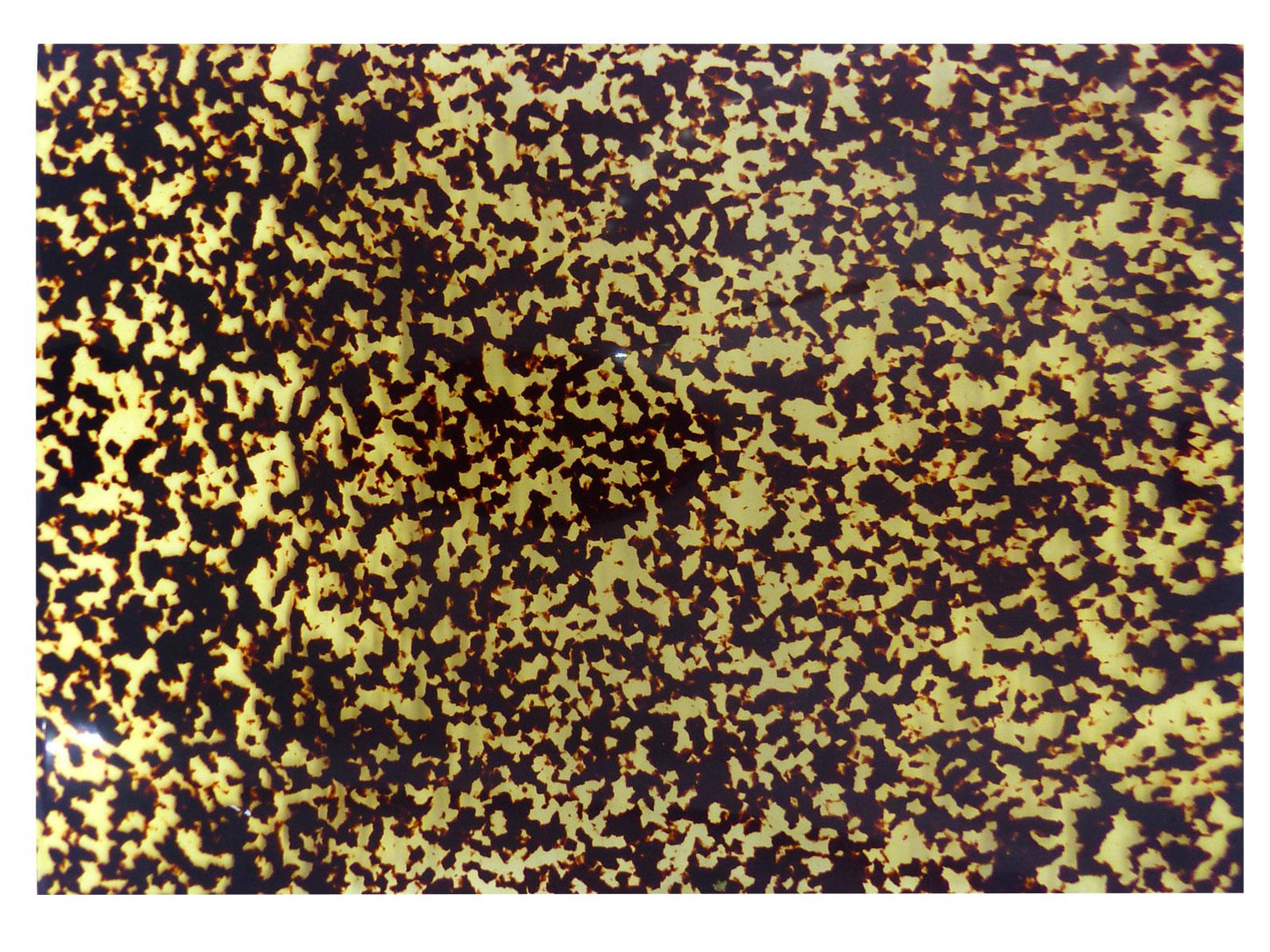 Incudo Vintage Spotted Tortoiseshell Celluloid Sheet - 430x290x0.8mm (16.9x11.42x0.03")