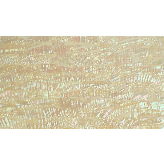 Lumea Natural Mexican Ripple Abalone Varnished Laminate Shell Veneer - 230x130x0.3mm