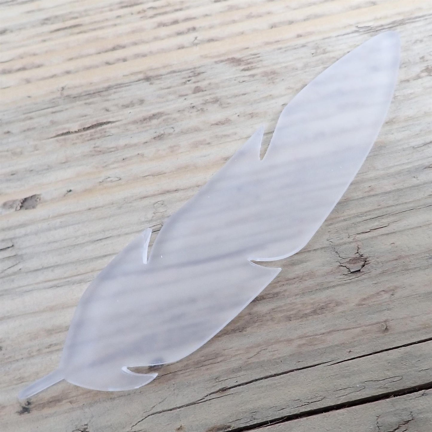 [R&F] Frosted Cast Acrylic Feather Decorations, 100mm (Style 8) (Pack of 6)