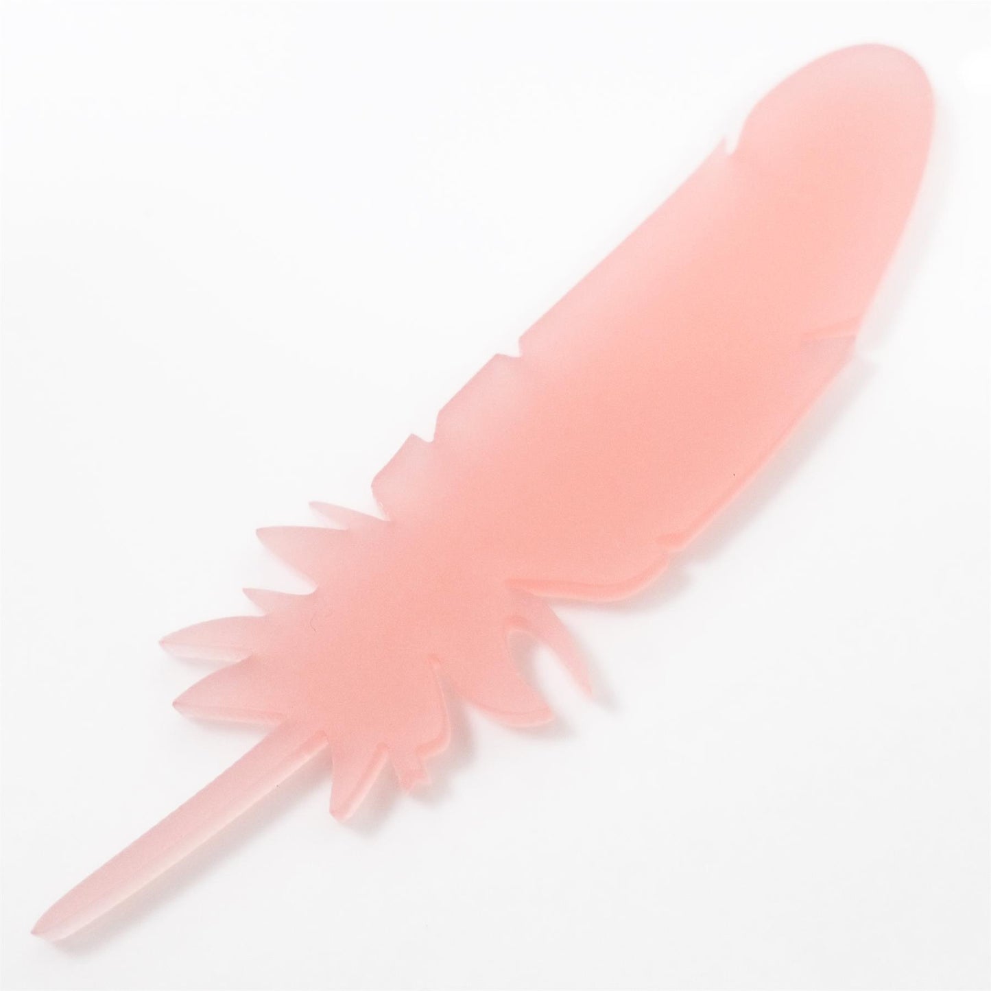 [R&F] Blush Pink Acrylic Feather Decorations, 100mm (Style 10) (Pack of 6)