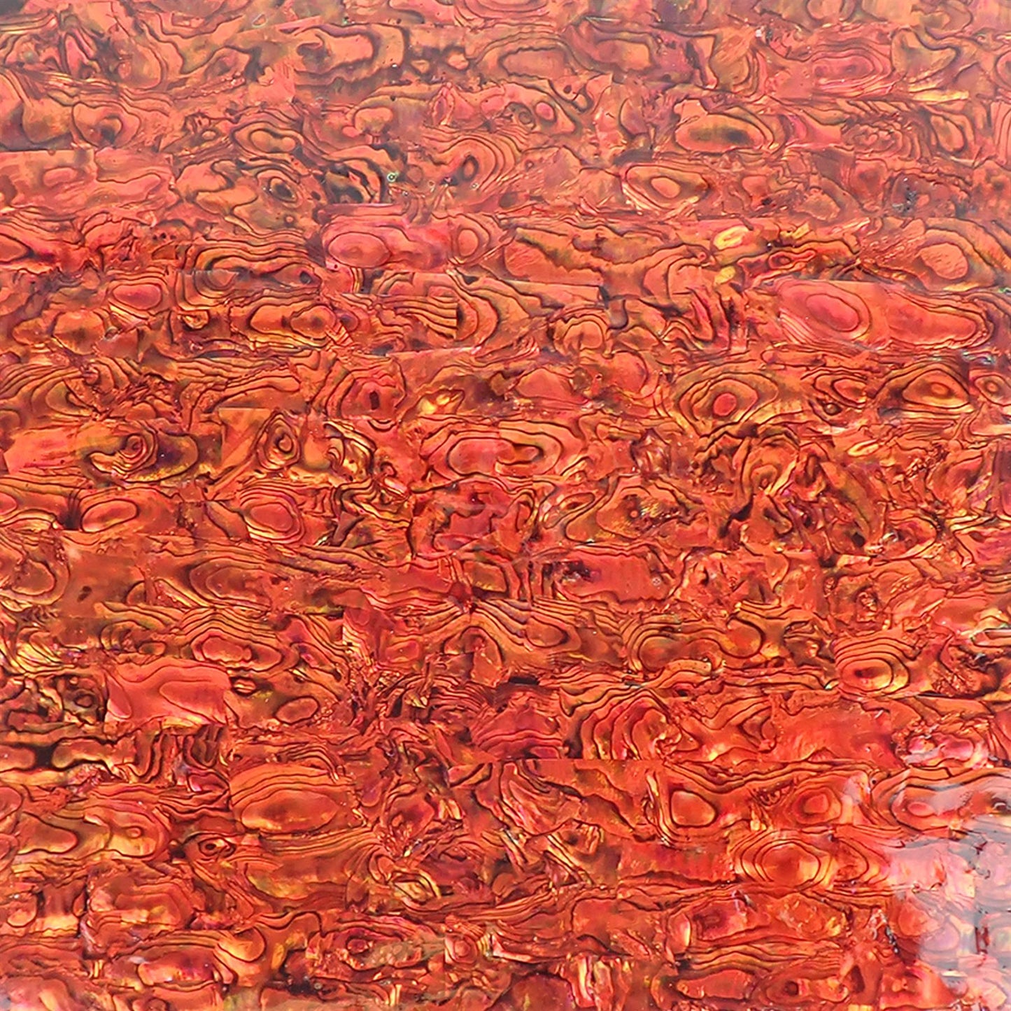 Lumea Copper Red Paua Abalone Varnished Laminate Shell Veneer - 200x200x0.3mm
