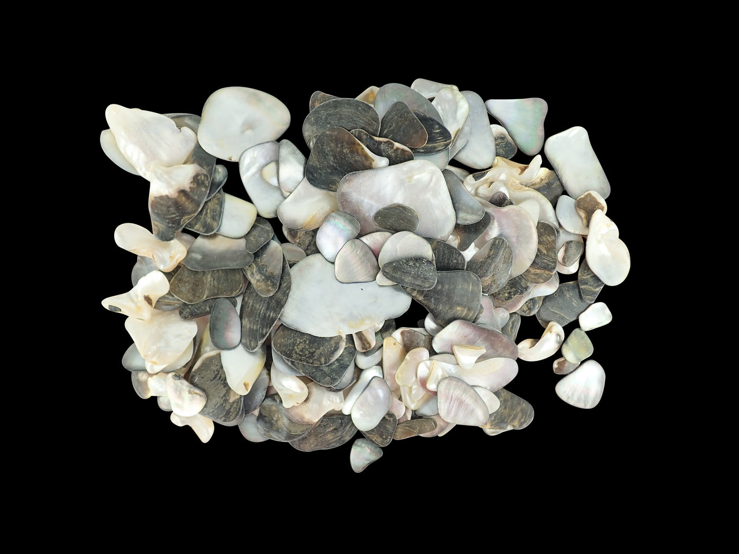 Lumea Black Mother of Pearl Shell Pieces