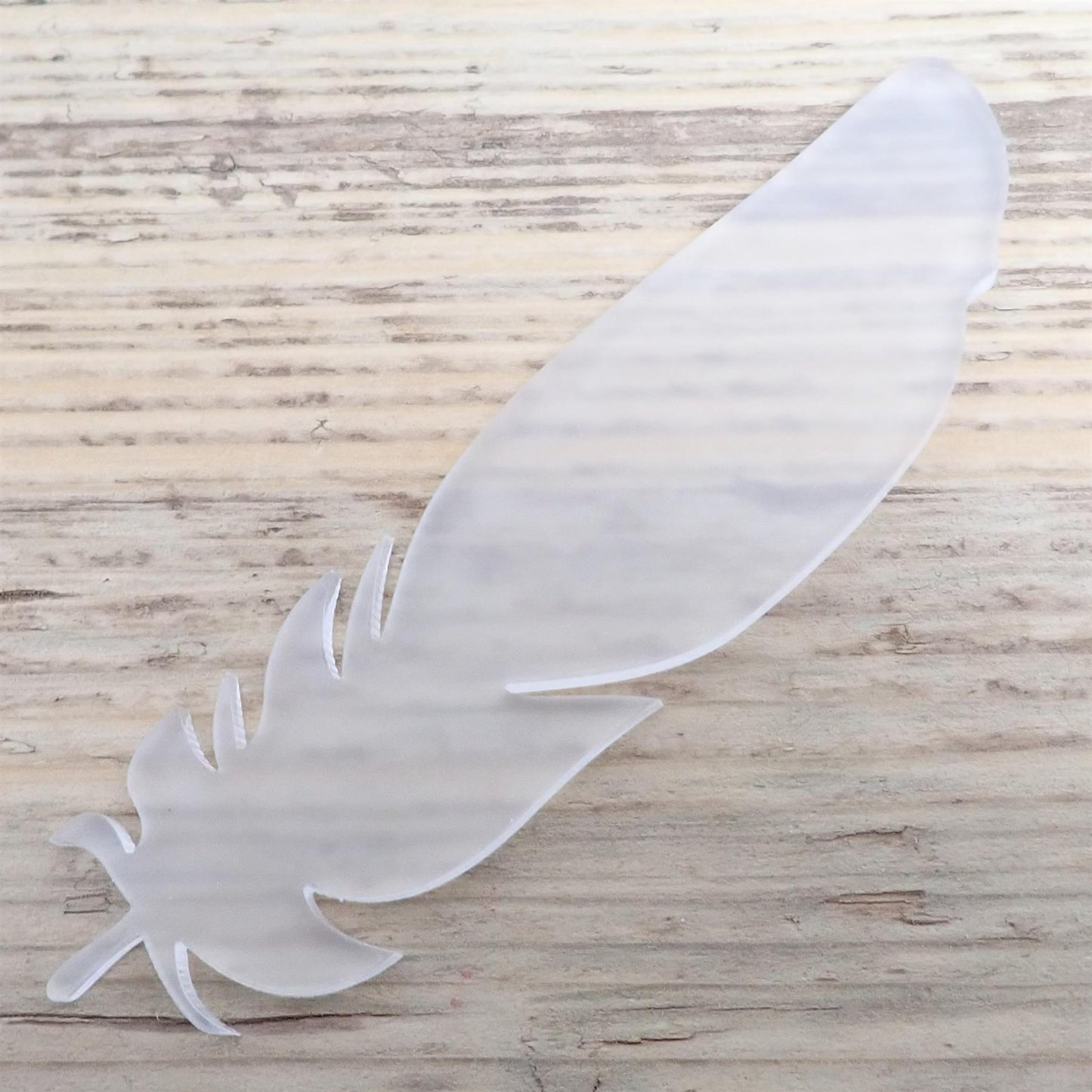 [R&F] Frosted Cast Acrylic Feather Decorations, 100mm (Style 1) (Pack of 5)